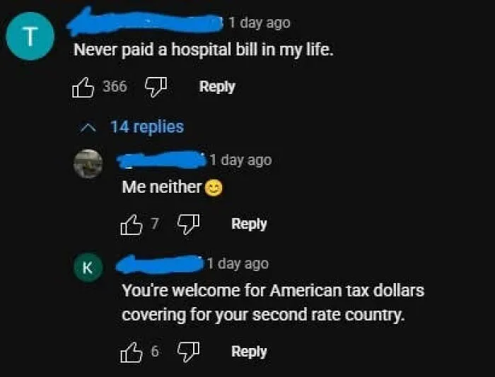 Comment section displaying an ironic take on healthcare, showing misuse of freedom of speech.