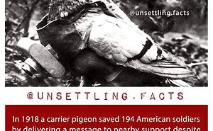 69 Eerie Facts About The World That Get More Disturbing The More You Think About Them