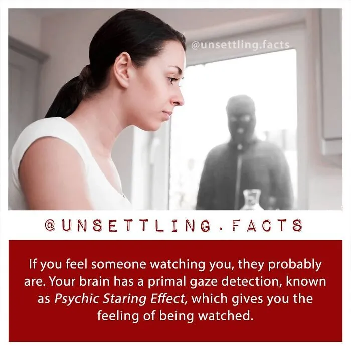 Woman sensing a stalker at her window, illustrating creepy and unsettling facts.
