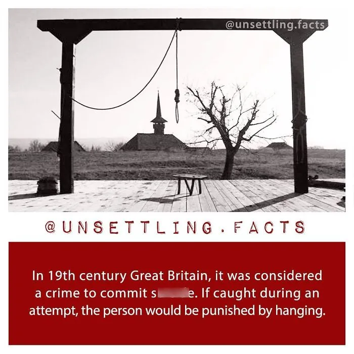 Wooden gallows under a clear sky, illustrating unsettling facts about historical laws.
