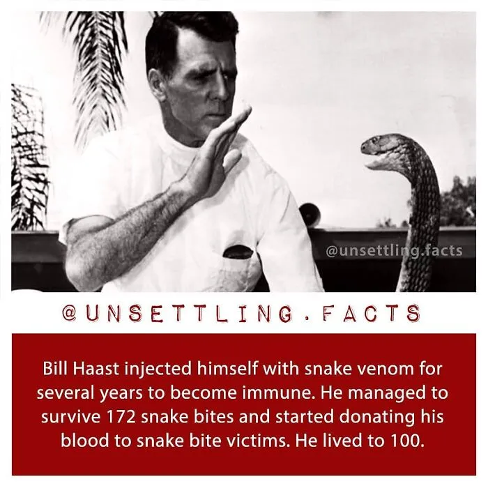 Bill Haast facing a cobra with creepy and unsettling facts about snake venom immunity.