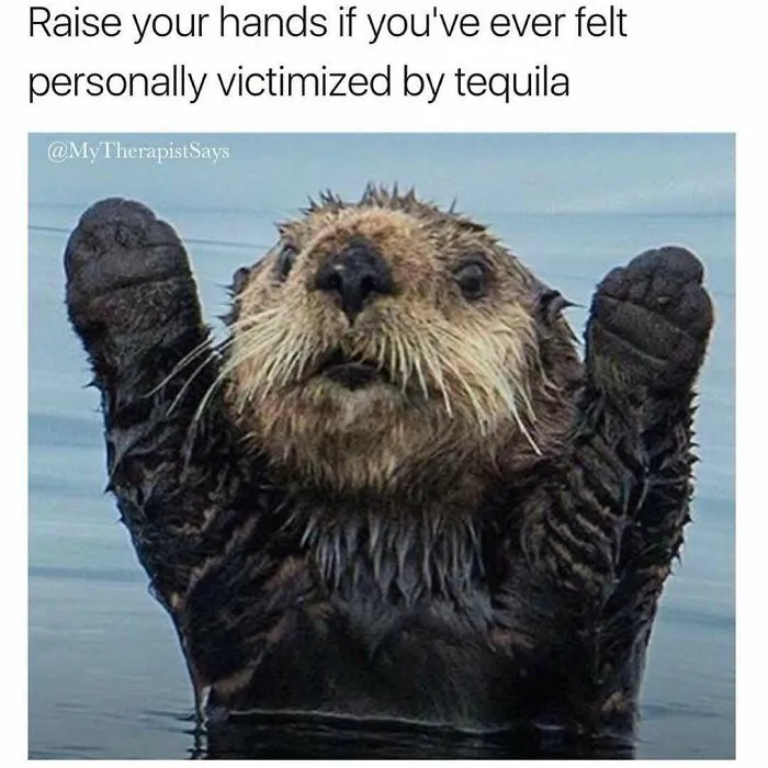 Funny redneck memes with an otter raising its paws in the water, paired with a funny caption about tequila.