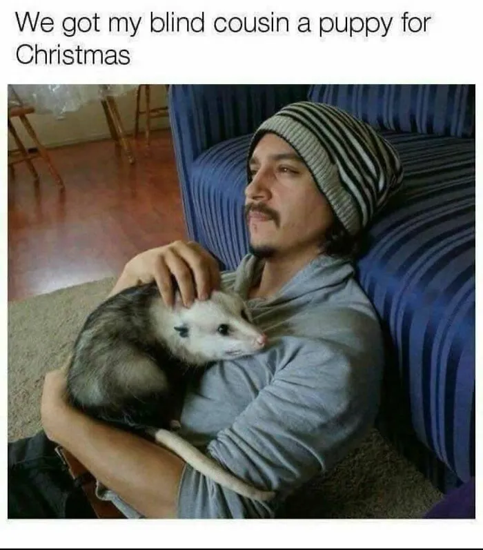 A rednecks meme showing a man sitting on the floor hugging an opossum like a pet puppy.