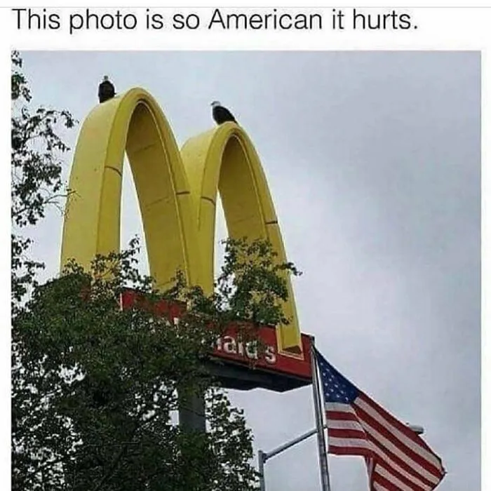 An American rednecks meme featuring two eagles perched on McDonald arches next to a US flag.