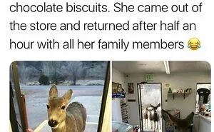 80 Hilarious But Not-So-Relatable Memes That Prove Rednecks Are Really Something Else