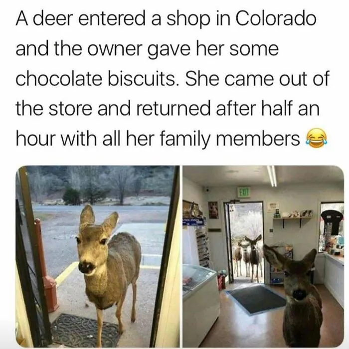 Hilarious-Redneck-Memes-Post