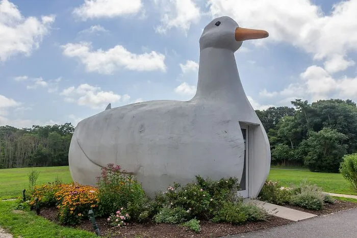 The Big Duck, a famous building with a bizarre shape designed like a white duck on a lawn.