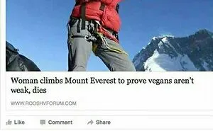 75 Of The Funniest Or Most Confusing News Headlines Ever Shared