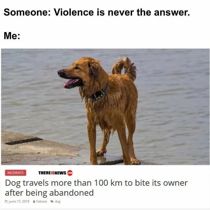 A dog standing by water representing an unhinged news headline about traveling 100 km to bite its owner