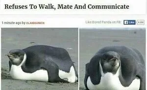 75 Hilarious And Unhinged News Headlines That Deserve To Be Shared Again