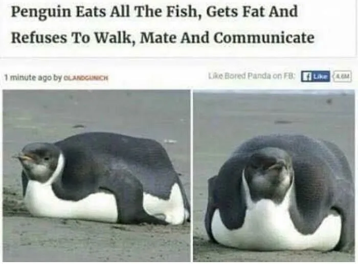 Crazy-Funny-News-Headlines