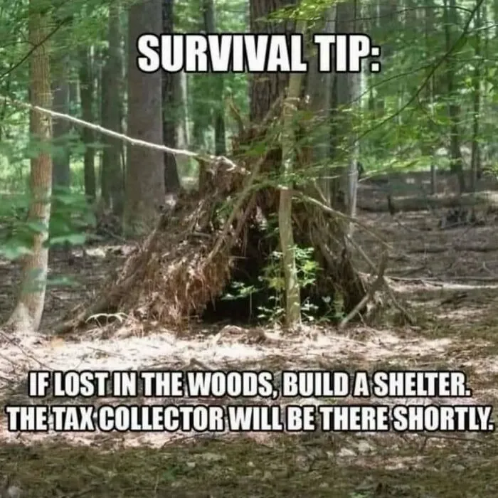 A makeshift stick shelter in the woods featured in a funny rednecks meme about survival.