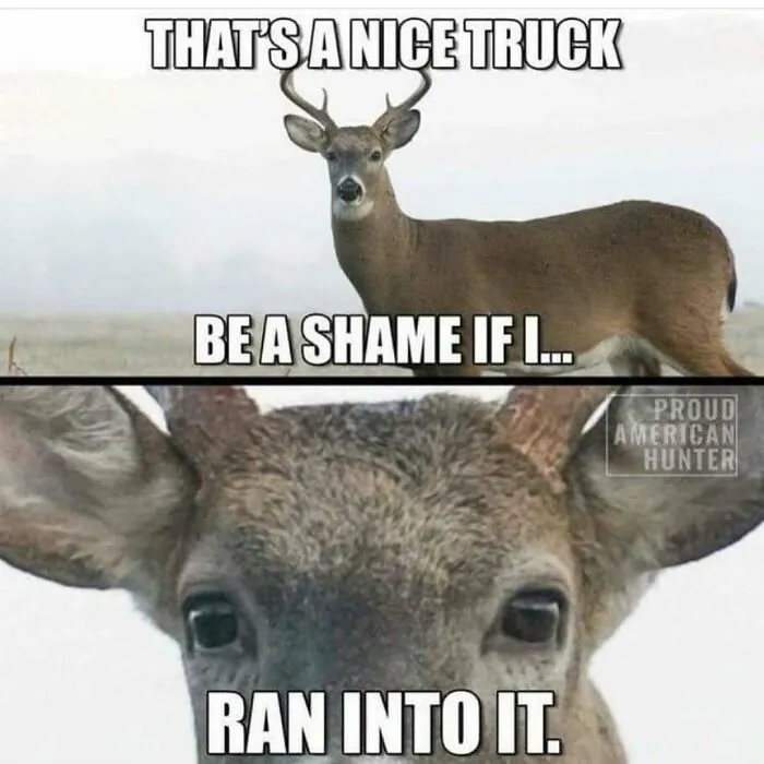 Hilarious redneck meme showing a deer staring at the camera with caption about trucks.