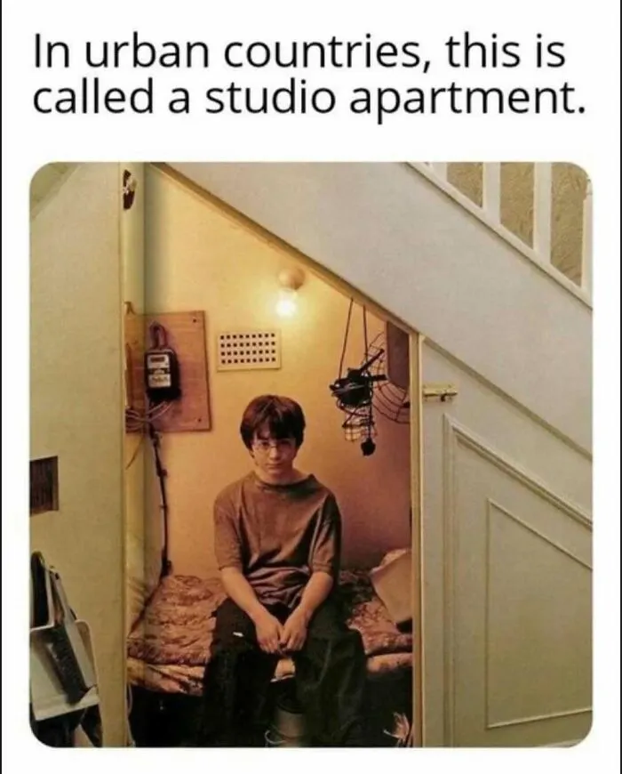 Humorous Harry Potter studio apartment meme to send to friends