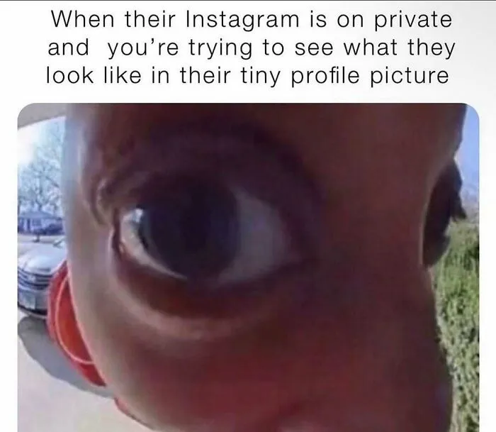 Relatable Instagram profile picture meme to send to friends