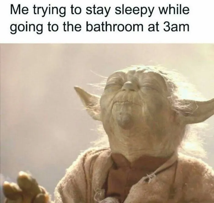 Funny Yoda meme about trying to stay sleepy at 3 AM to send friends