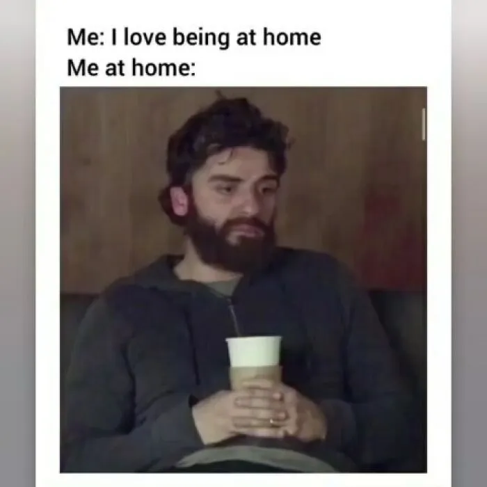 An ironic meme about being at home featuring Oscar Isaac, showing random memes.