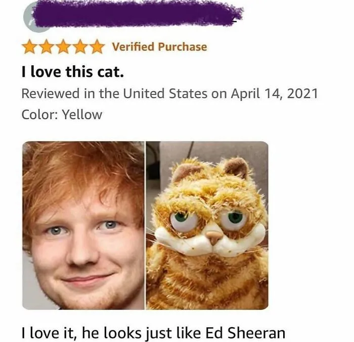 Hilarious product review comparing a plush cat toy to musician Ed Sheeran.