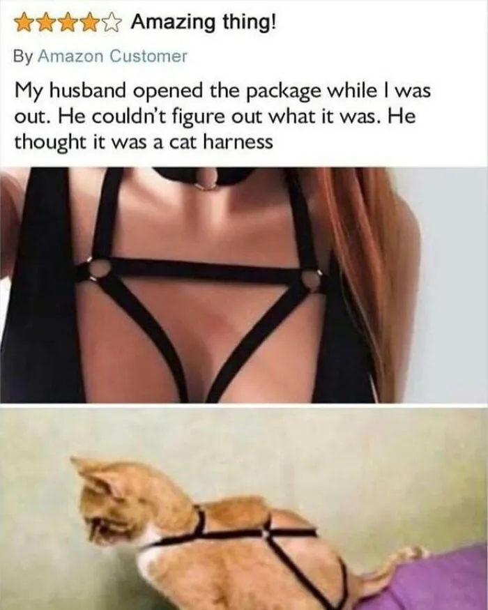 Product reviews showcasing a woman in a black harness and a cat wearing the same harness mistakenly.
