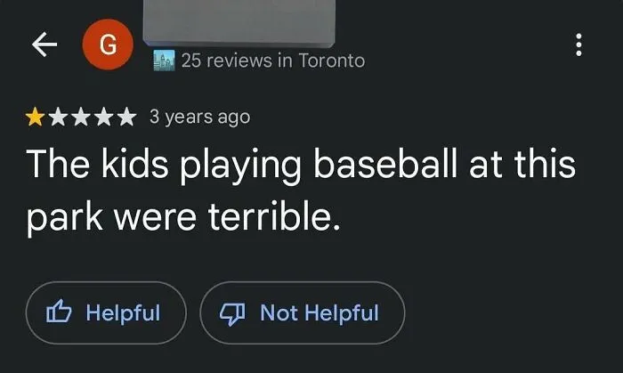 Hilarious product review complaining about kids playing baseball at a park.