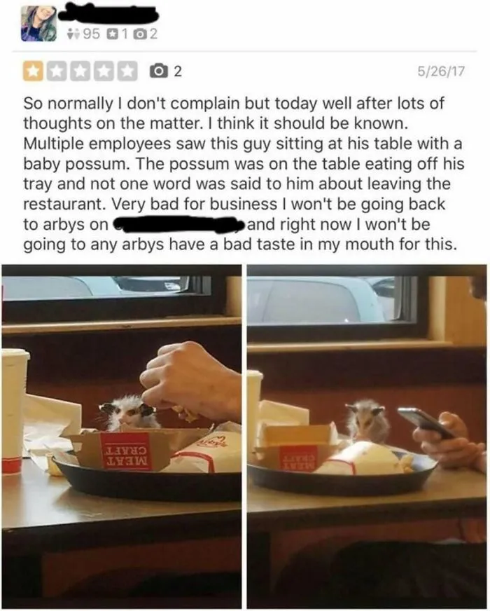 Funny product review complaining about a baby possum eating at a restaurant table.