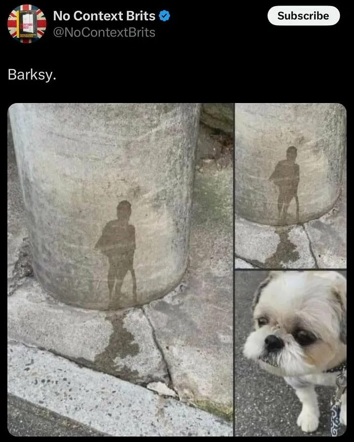British meme showing dog pee stain resembling a silhouette on a wall