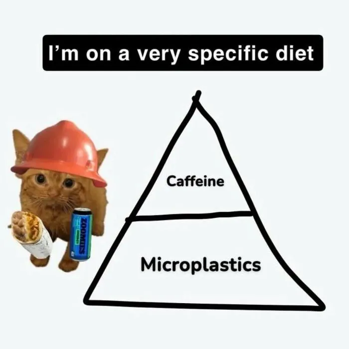 Relatable memes showing a cat in a hard hat next to a food pyramid of caffeine and microplastics.