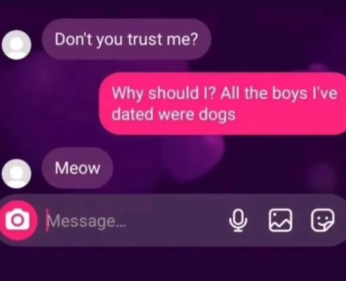 Awkward text screenshot showing a conversation where someone replies meow to being called a dog.