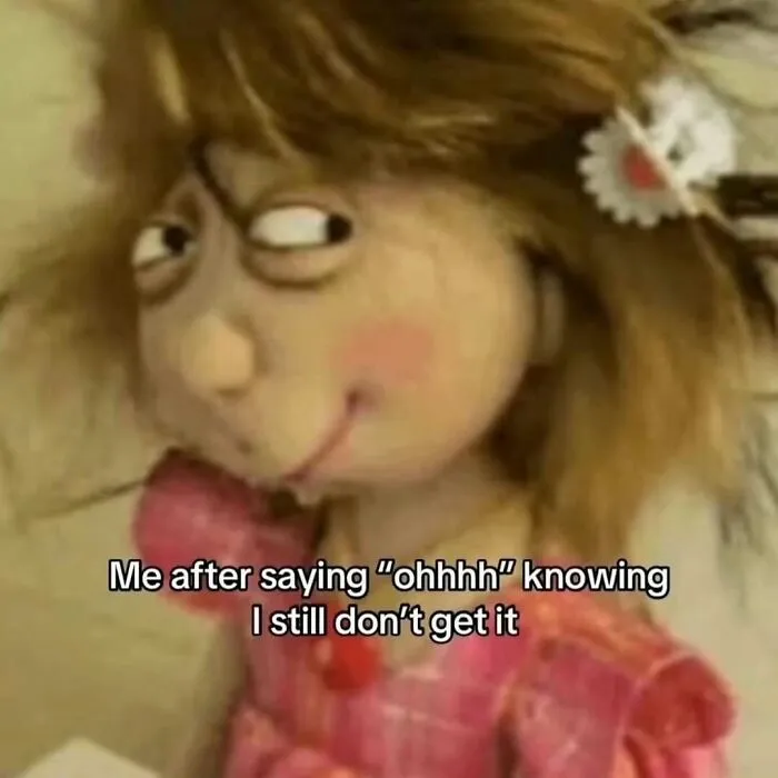 Funny puppet looking confused representing relatable funny memes about pretending to understand