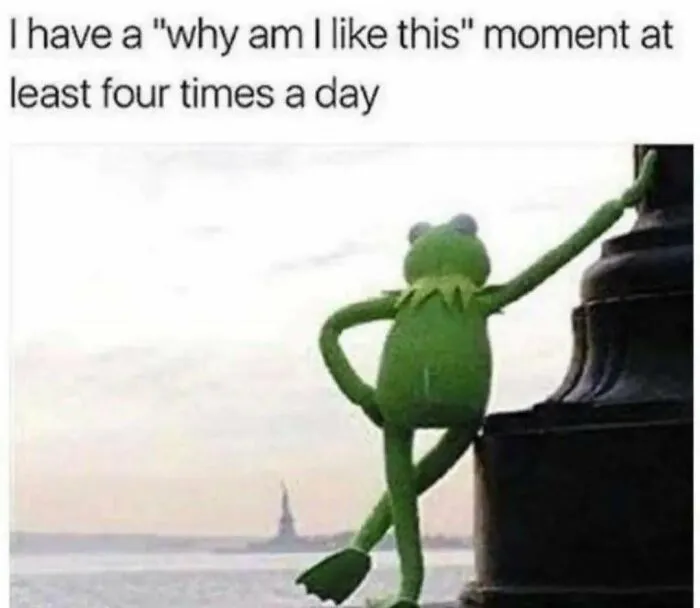 Relatable memes of Kermit the Frog looking out at the water with caption about questioning your own actions