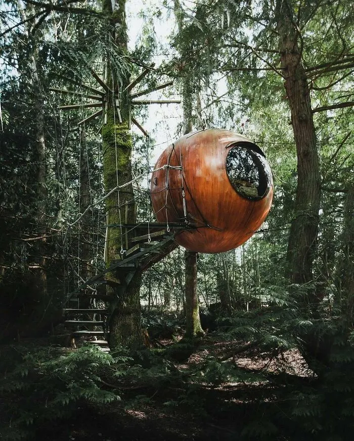 Strange spherical treehouse architecture suspended in forest setting