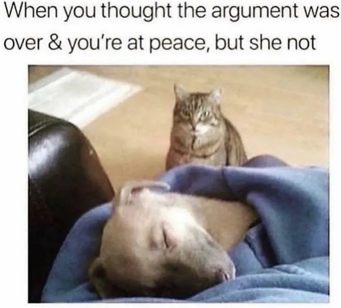A relatable meme featuring a sleeping dog and a staring cat about an ongoing argument