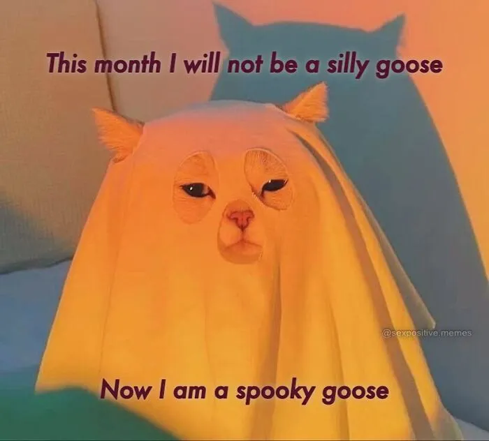 Cute cat dressed as a ghost in a funny Halloween meme about becoming a spooky goose