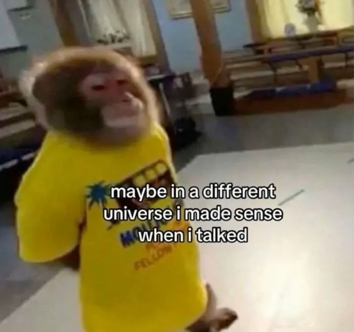 Funny monkey meme about not making sense and funny memes