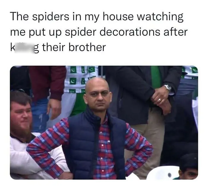 Disappointed man meme format used as a funny Halloween meme about putting up spider decorations