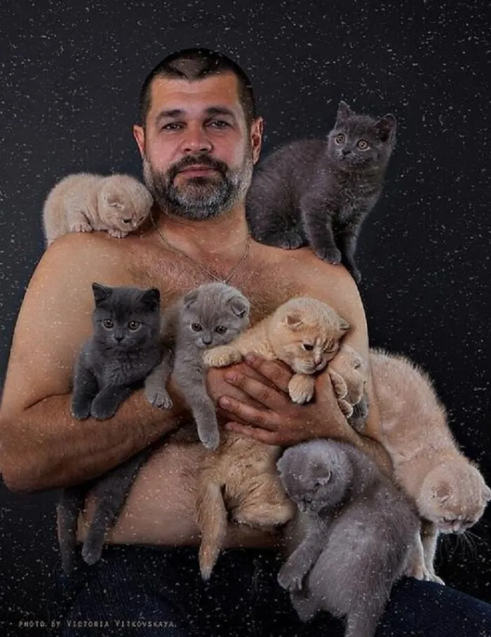 A shirtless man covered in numerous fluffy kittens during unique family photos with cats.