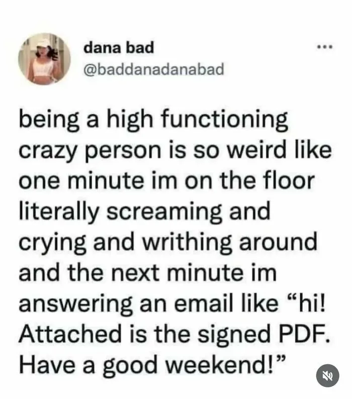 Funny relatable memes about being a high functioning crazy person sending emails.