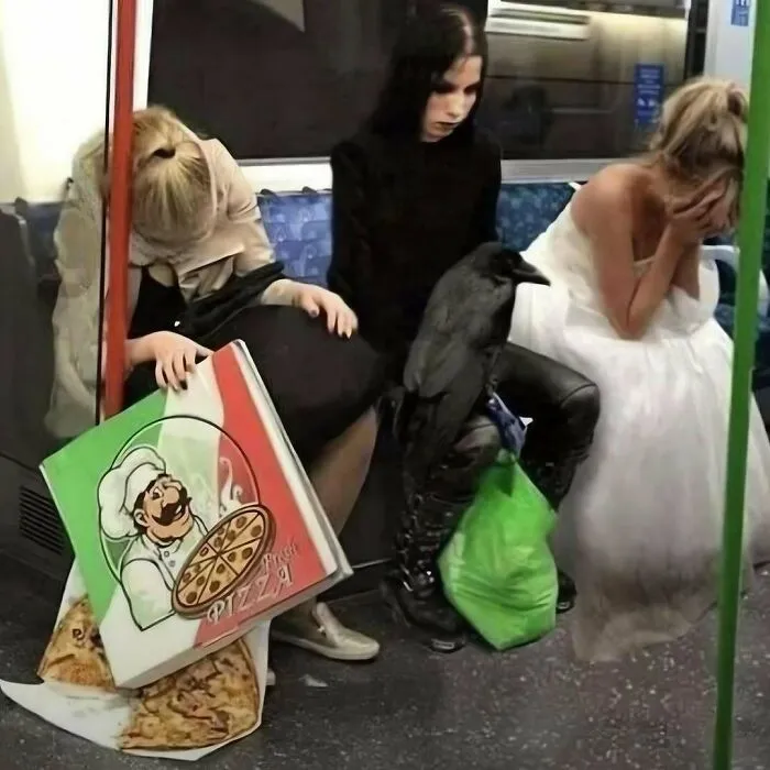 Silly-Out-Of-Context-Pics
