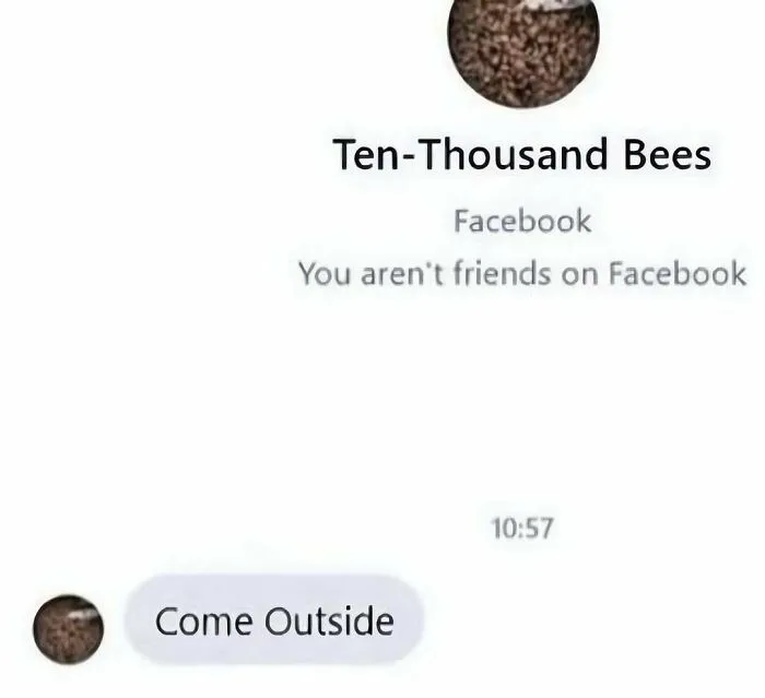 Out-of-context pics showing a strange Facebook message from an account named Ten-Thousand Bees.