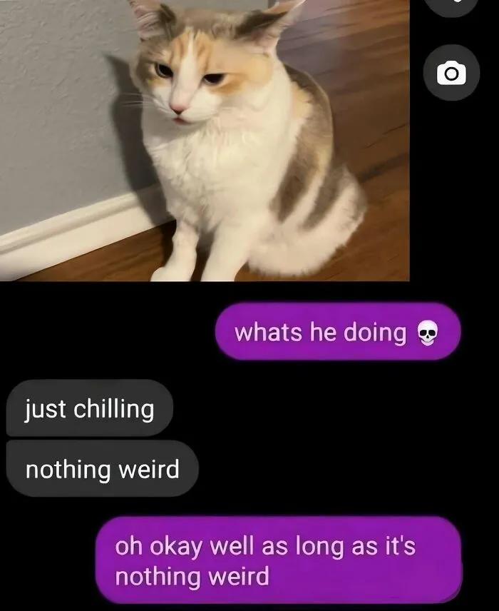 Silly-Out-Of-Context-Pics