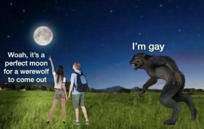 A funny out-of-context pics meme featuring a werewolf coming out under the full moon.