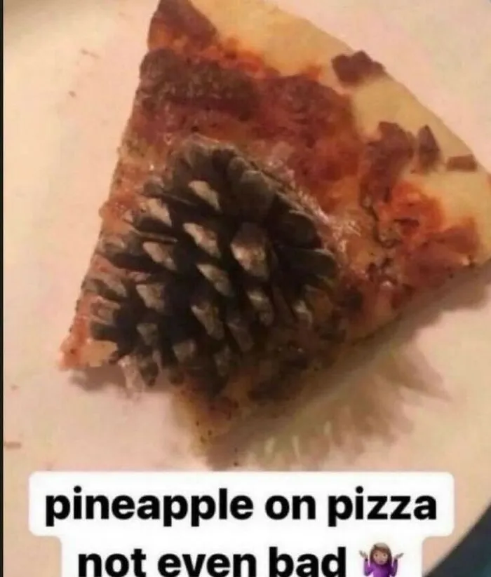A slice of pizza topped with an actual pinecone, making for hilarious out-of-context pics.