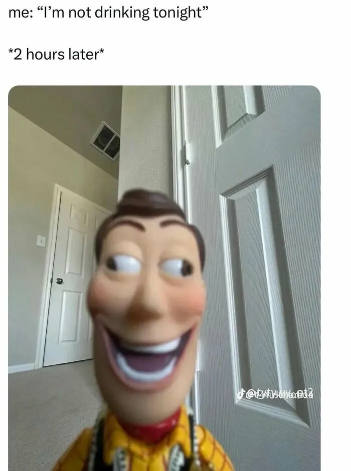 Funny meme of Woody toy with caption about drinking tonight