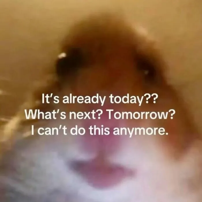 A close-up of a stressed hamster face in a funny meme about existential dread.