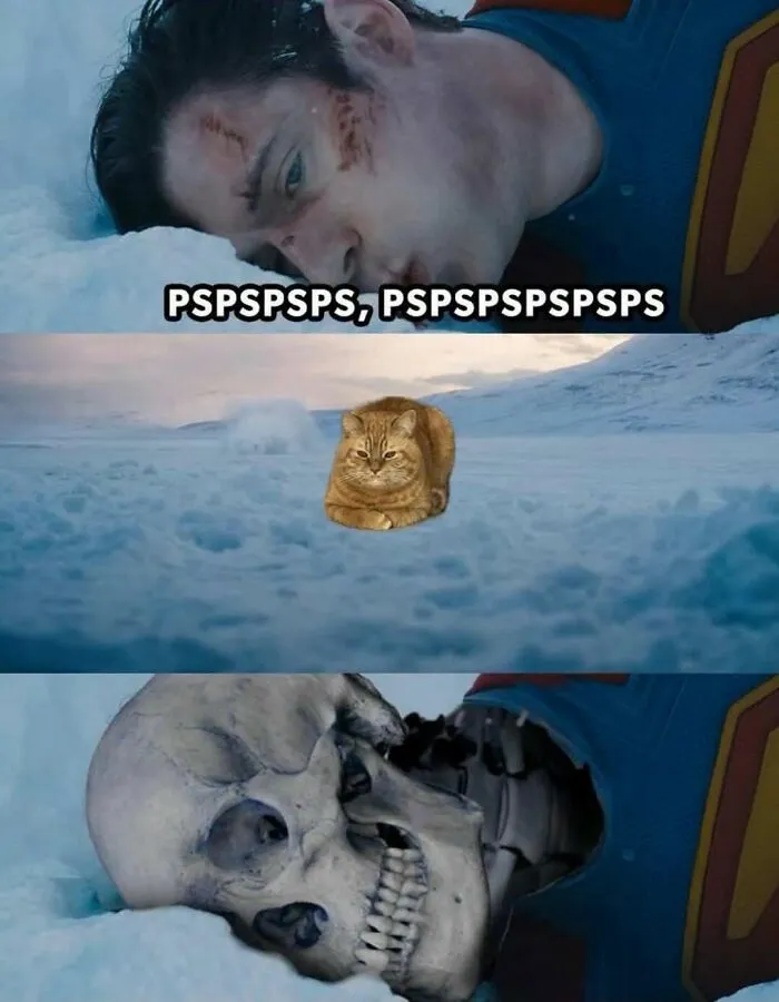 A three-panel meme showing a man calling a cat in the snow, adding to bizarre out-of-context pics.