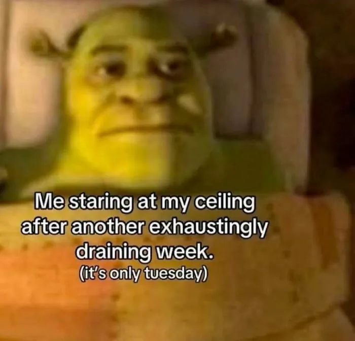 Shrek meme about staring at the ceiling after a draining week on a Tuesday