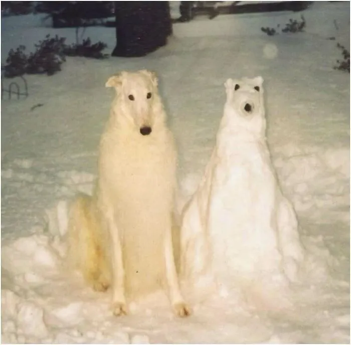Silly-Out-Of-Context-Pics