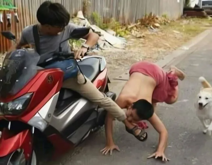 A chaos-filled moment showing a person on a scooter and someone biting a foot in out-of-context pics.