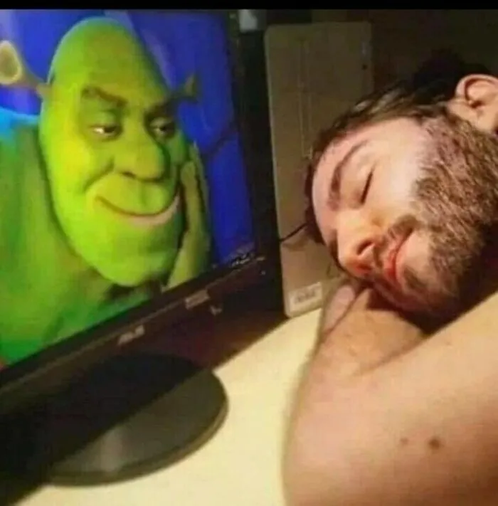 A man sleeping peacefully next to a computer monitor displaying Shrek in one of these out-of-context pics.