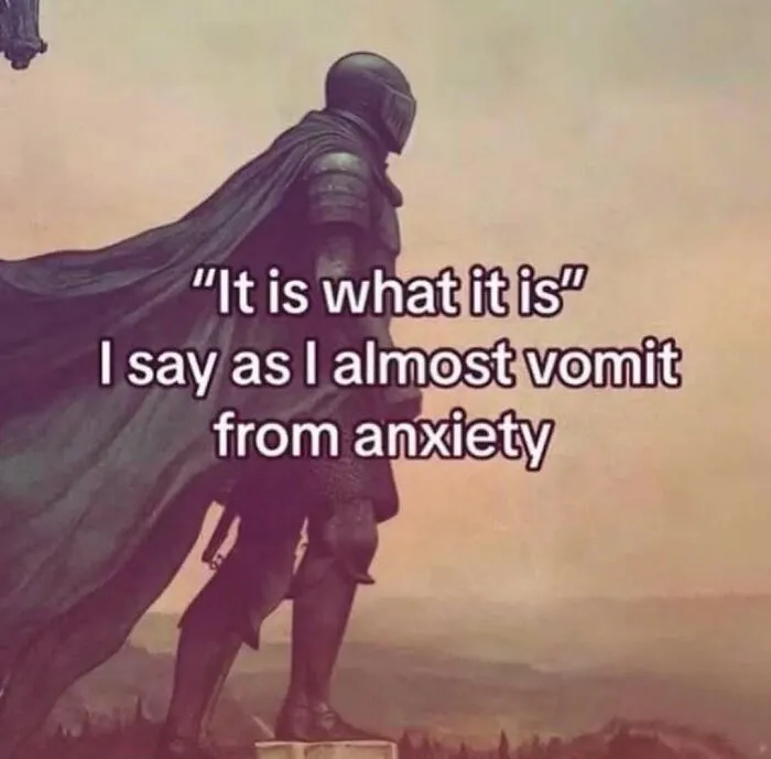 Meme featuring a knight standing heroically with a caption about coping with anxiety and life stress.
